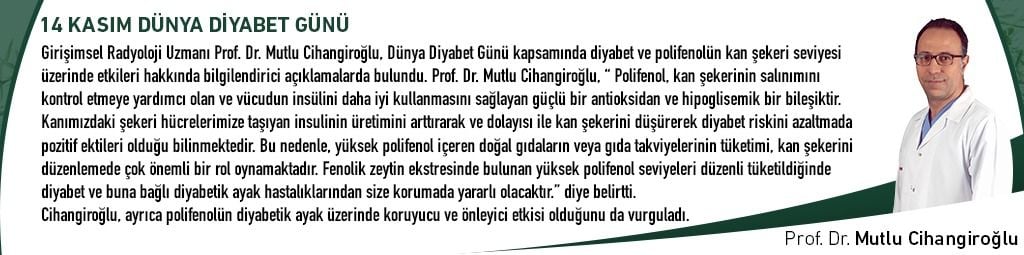Polifenol Diyabet İlişkisi: Bilimsel Araştırmalar